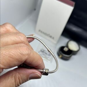 Pandora Sterling & 14 K Gold clip charm